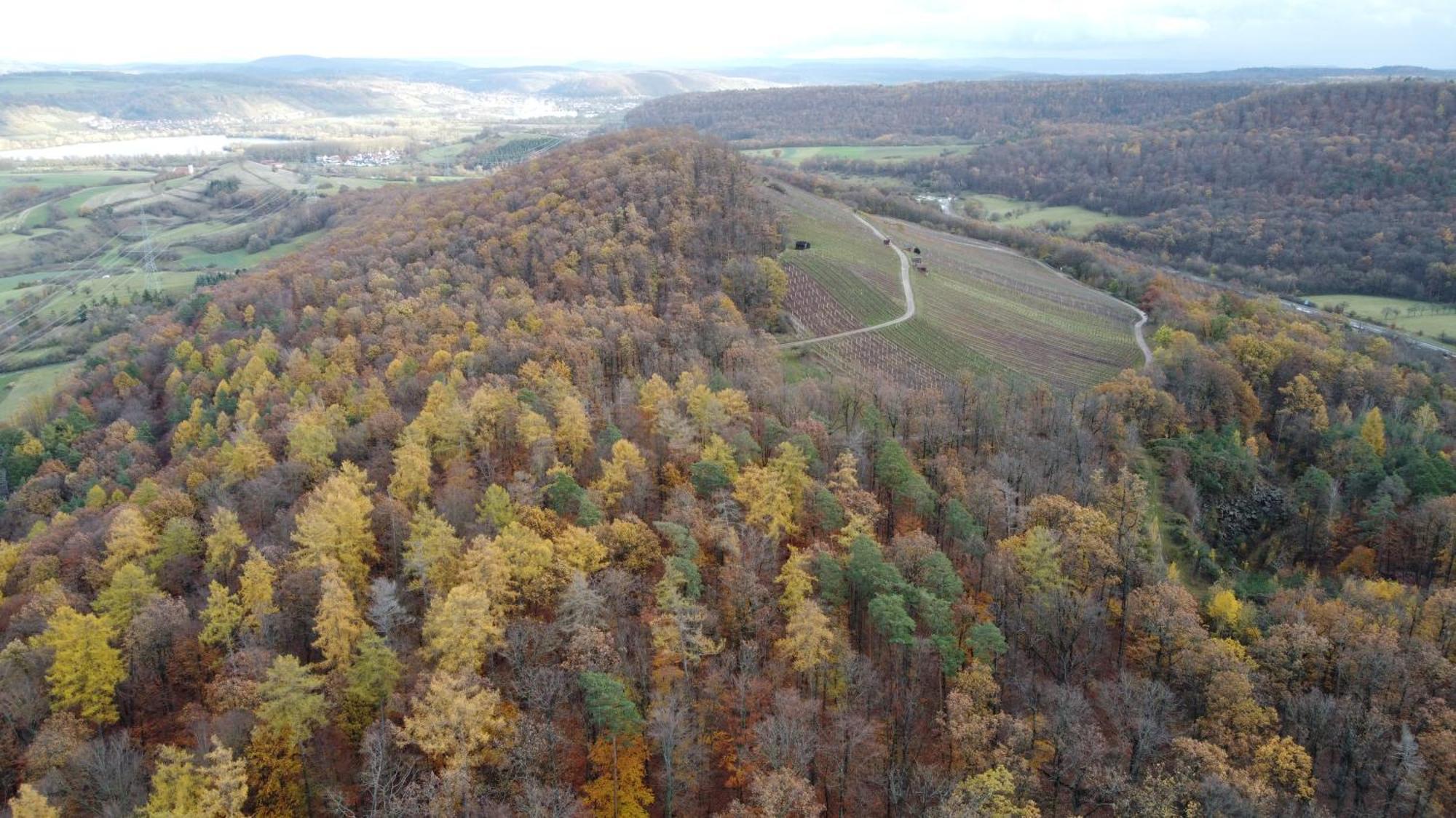 Pausenhof Zweite-Heimat Appartement Rauhenebrach Buitenkant foto